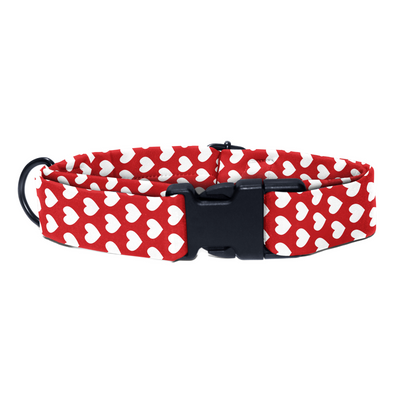Love & Loyalty - Collar & Tag