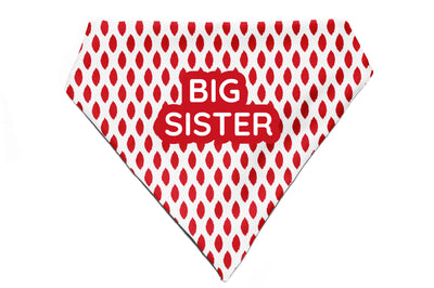 Paisley Pride - Bandana