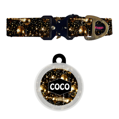 Fireworks Frenzy - Collar & Tag