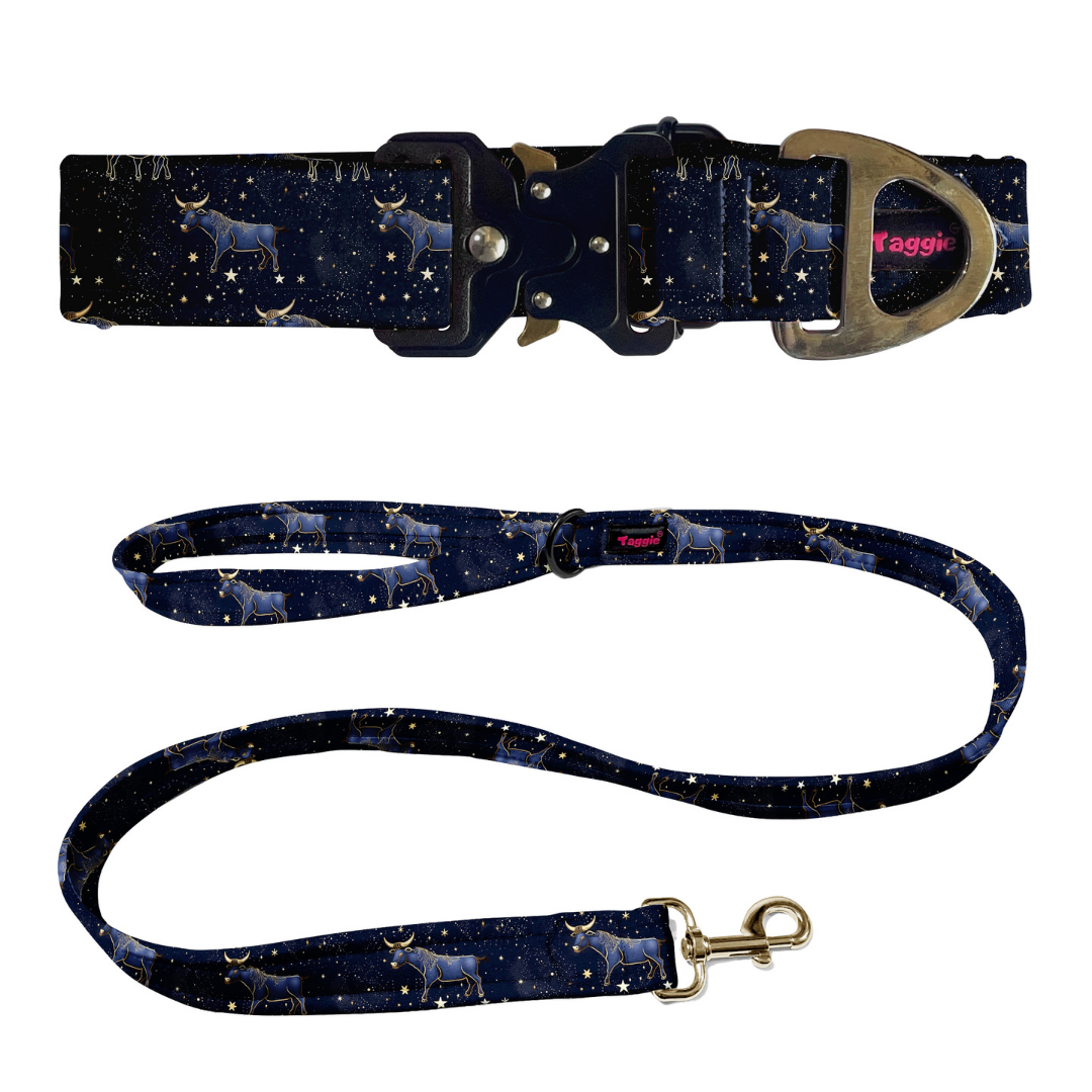 Taurus Collar -Leash