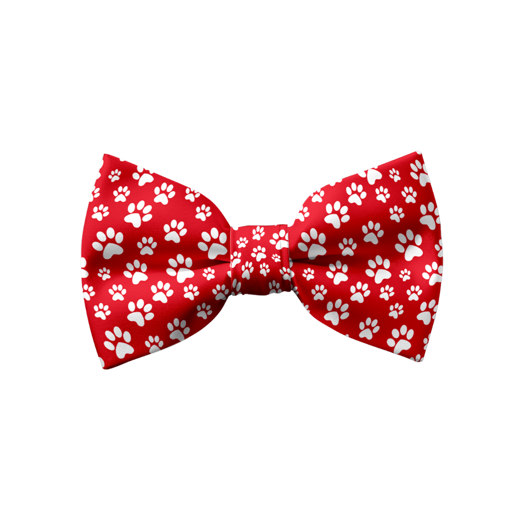 Fido's Favourite - Bow