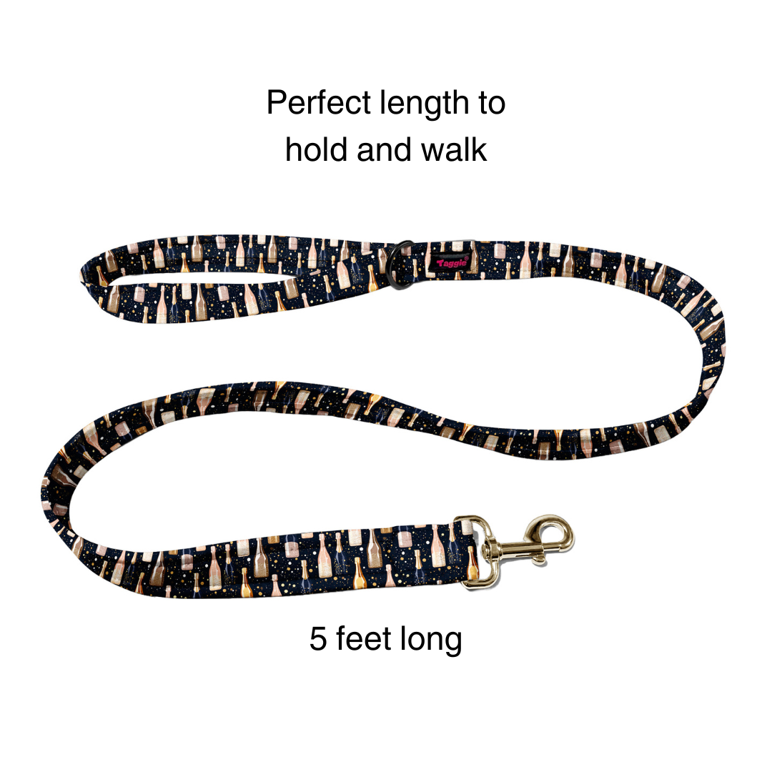 Fizz & Fun Collar -Leash