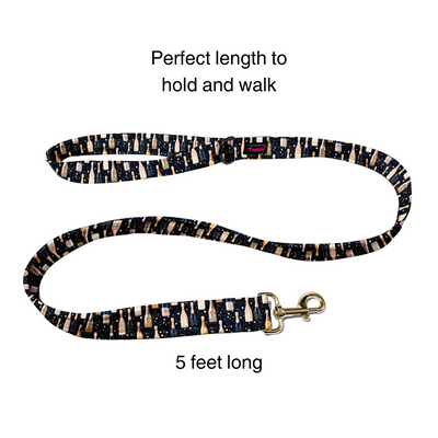 Fizz & Fun Collar -Leash