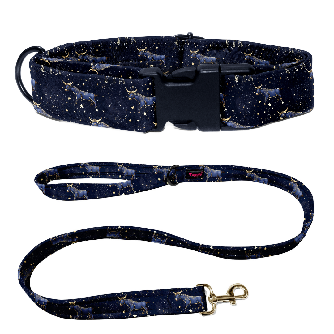 Taurus Collar -Leash