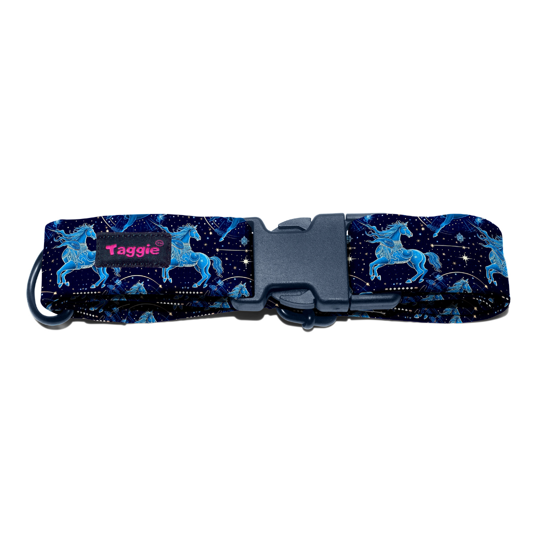 Sagittarius Collar -Leash