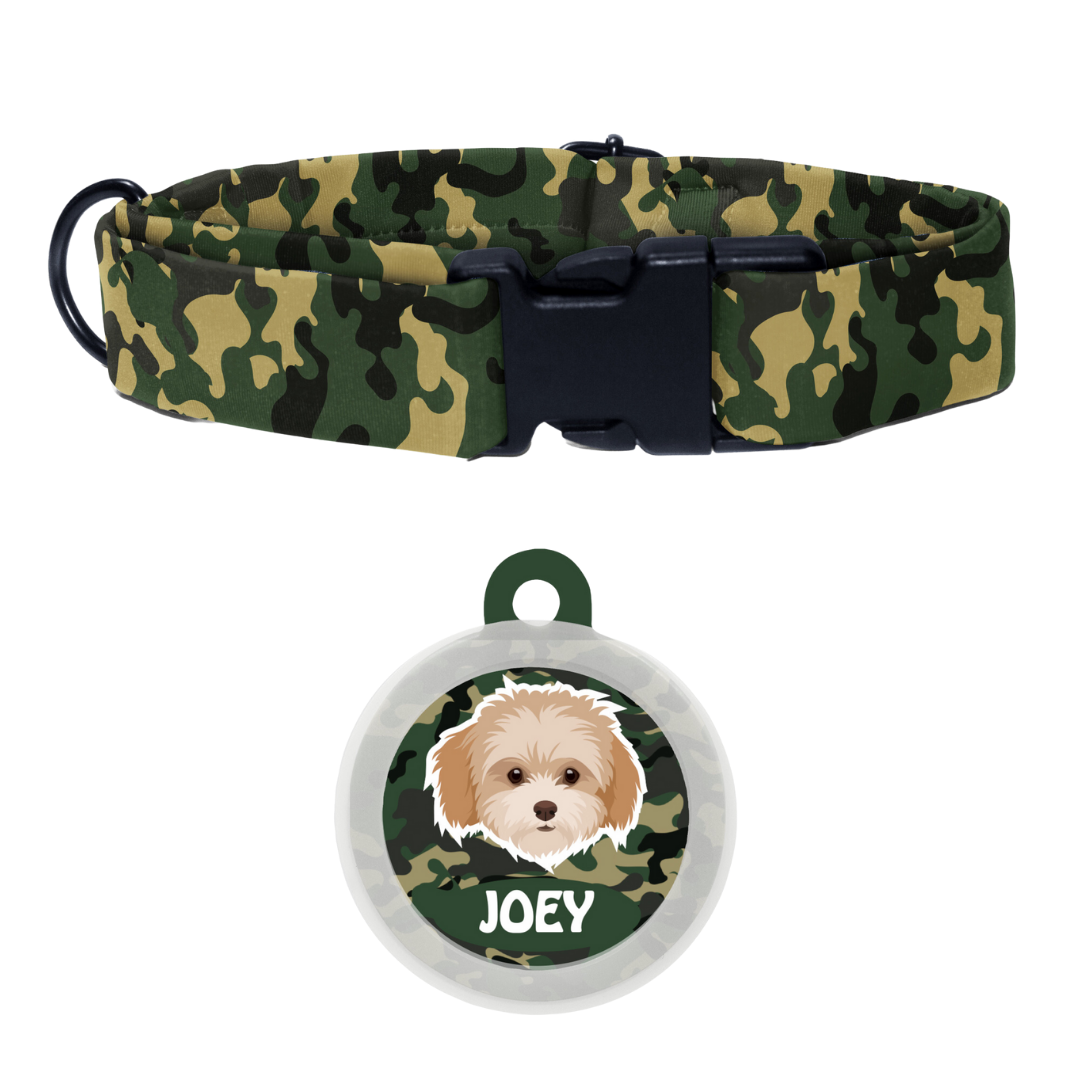 Maltipoo White-Brown - Collar & Tag