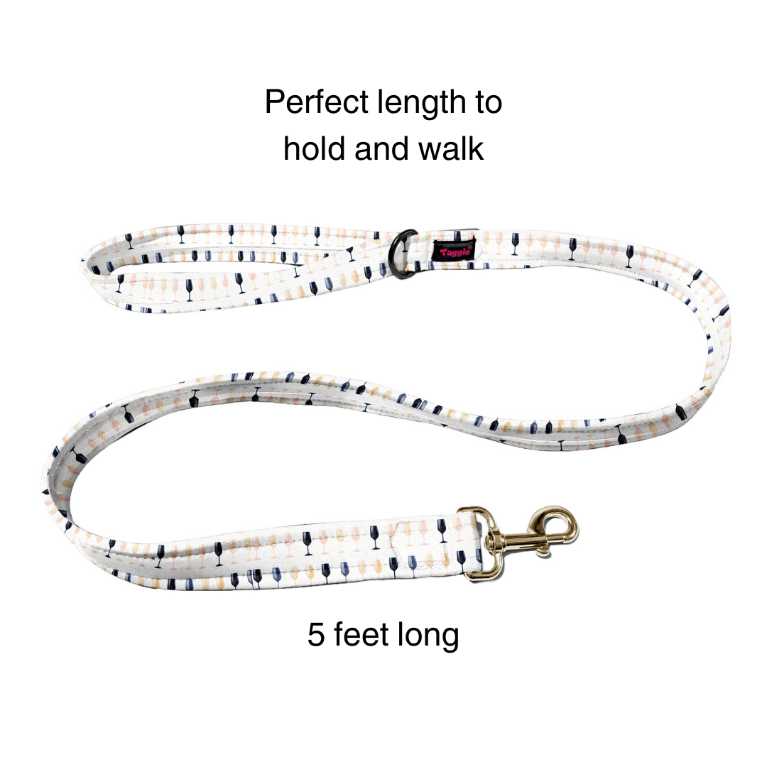 Crystal Cheers Collar -Leash