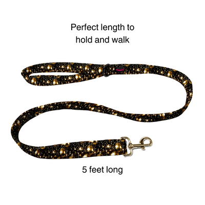 Fireworks Frenzy Collar -Leash