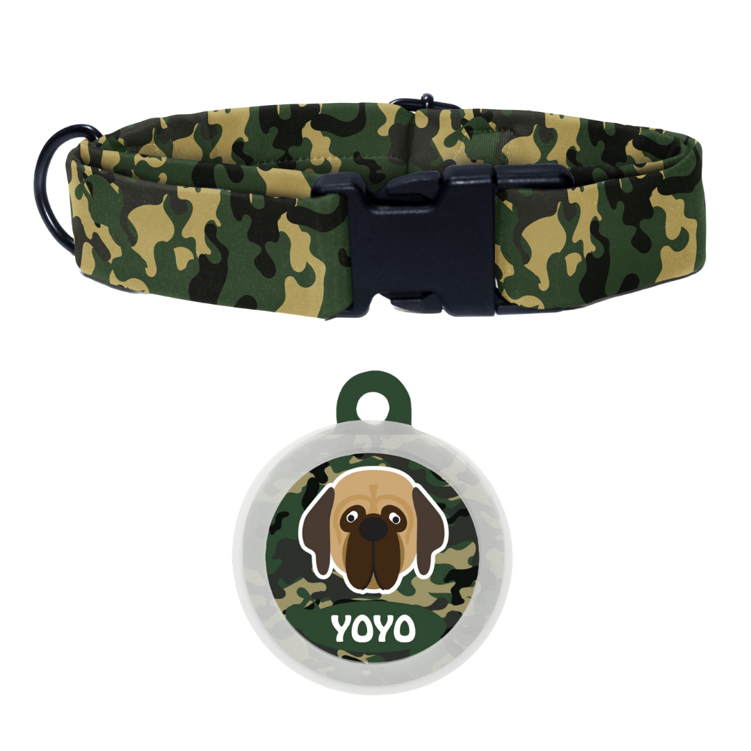 Mastiff  - Collar & Tag