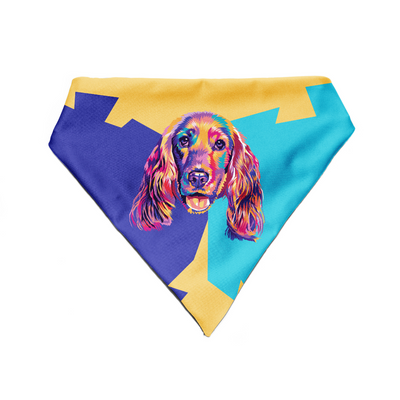 Cocker spaniel - Bandana