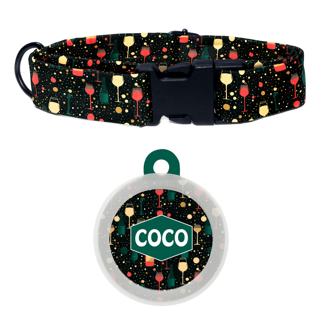 Party Pup - Collar & Tag