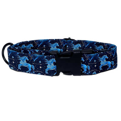 Sagittarius Collar -Leash