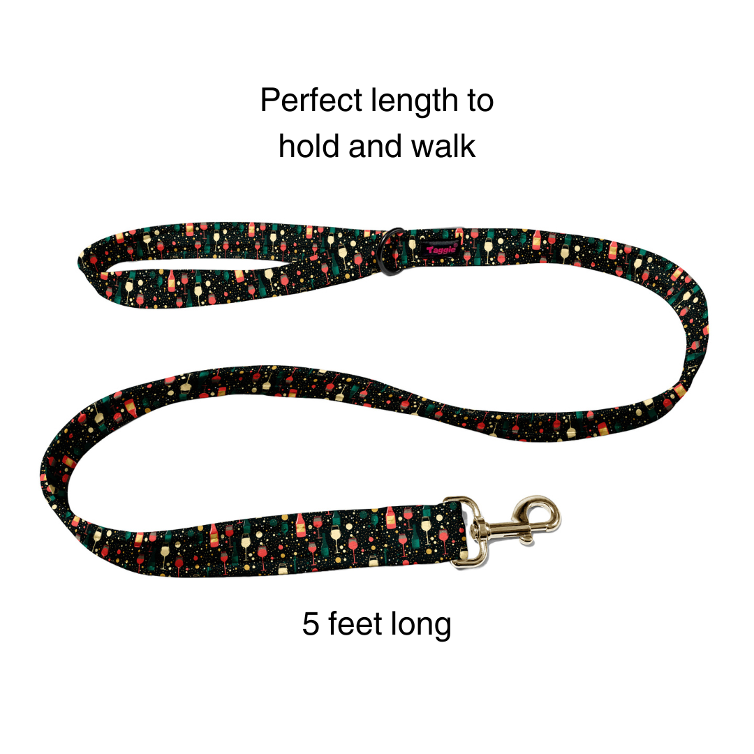 Party Pup Collar -Leash