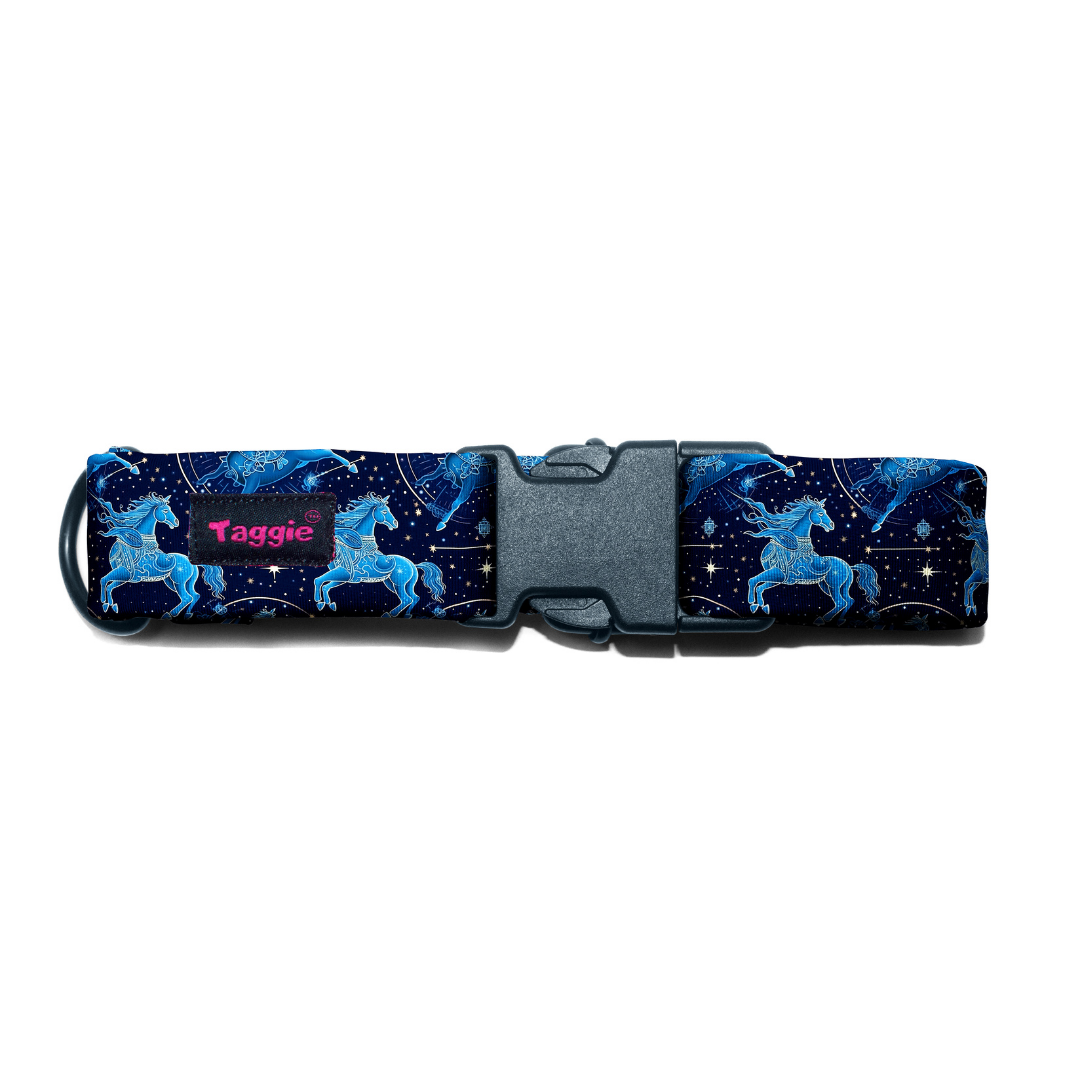 Sagittarius Collar -Leash