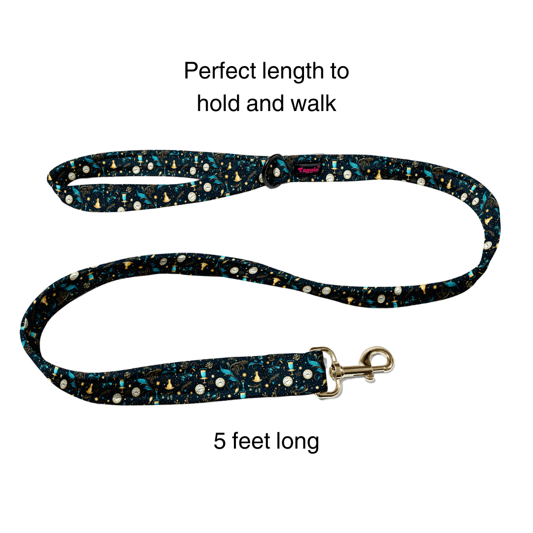 Countdown Confetti Collar -Leash