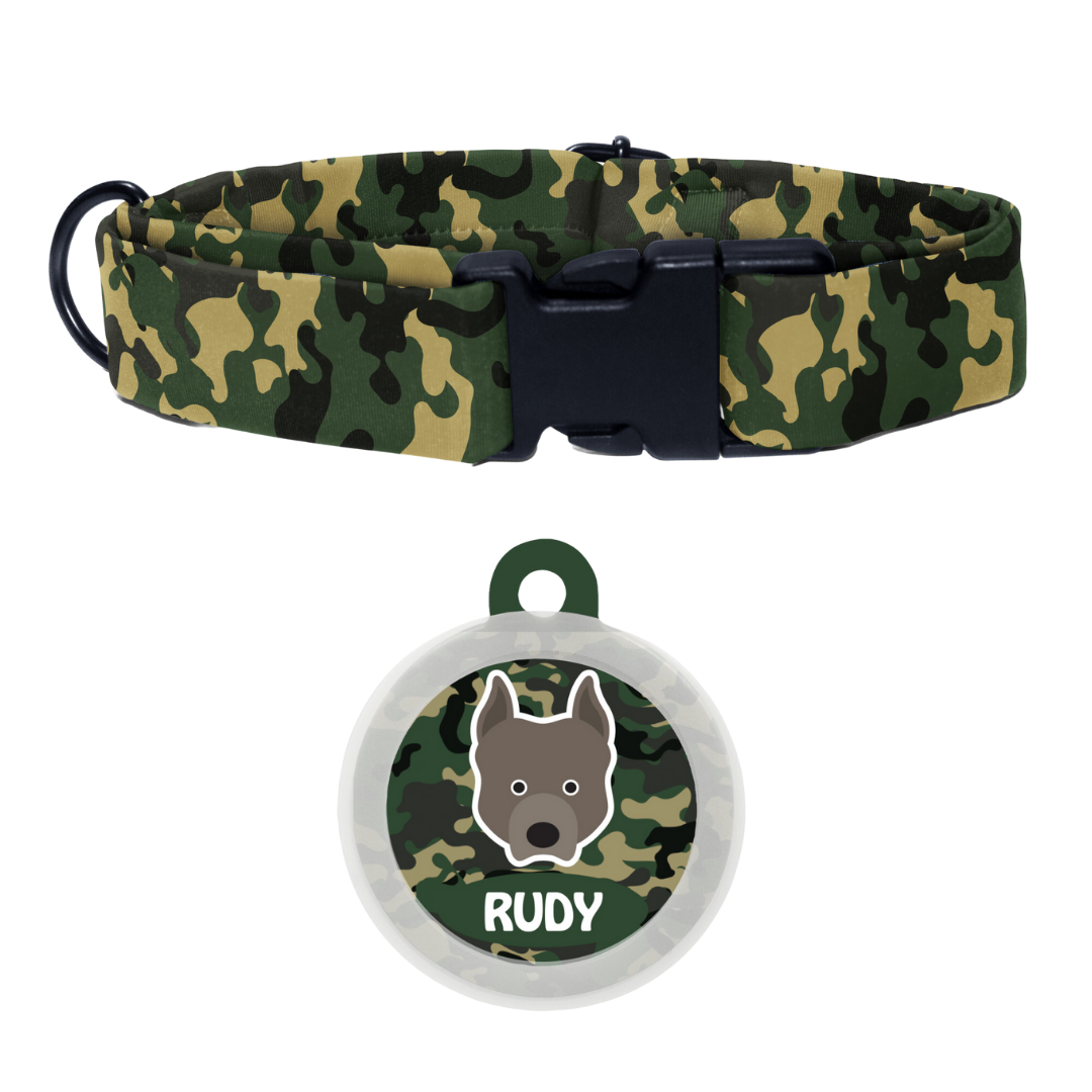 Pit Bull  - Collar & Tag