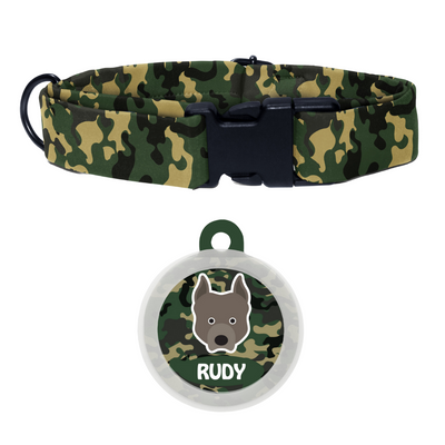 Pit Bull  - Collar & Tag