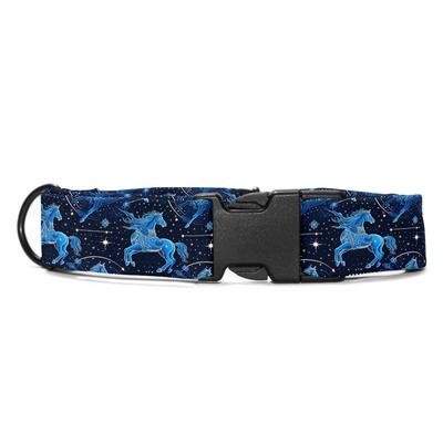 Sagittarius Collar -Leash