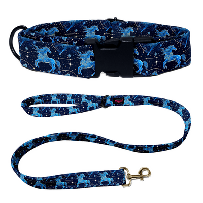 Sagittarius Collar -Leash