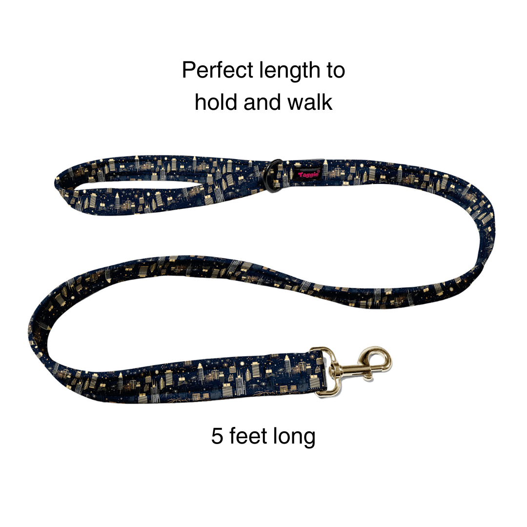 Midnight Sparkle Collar -Leash