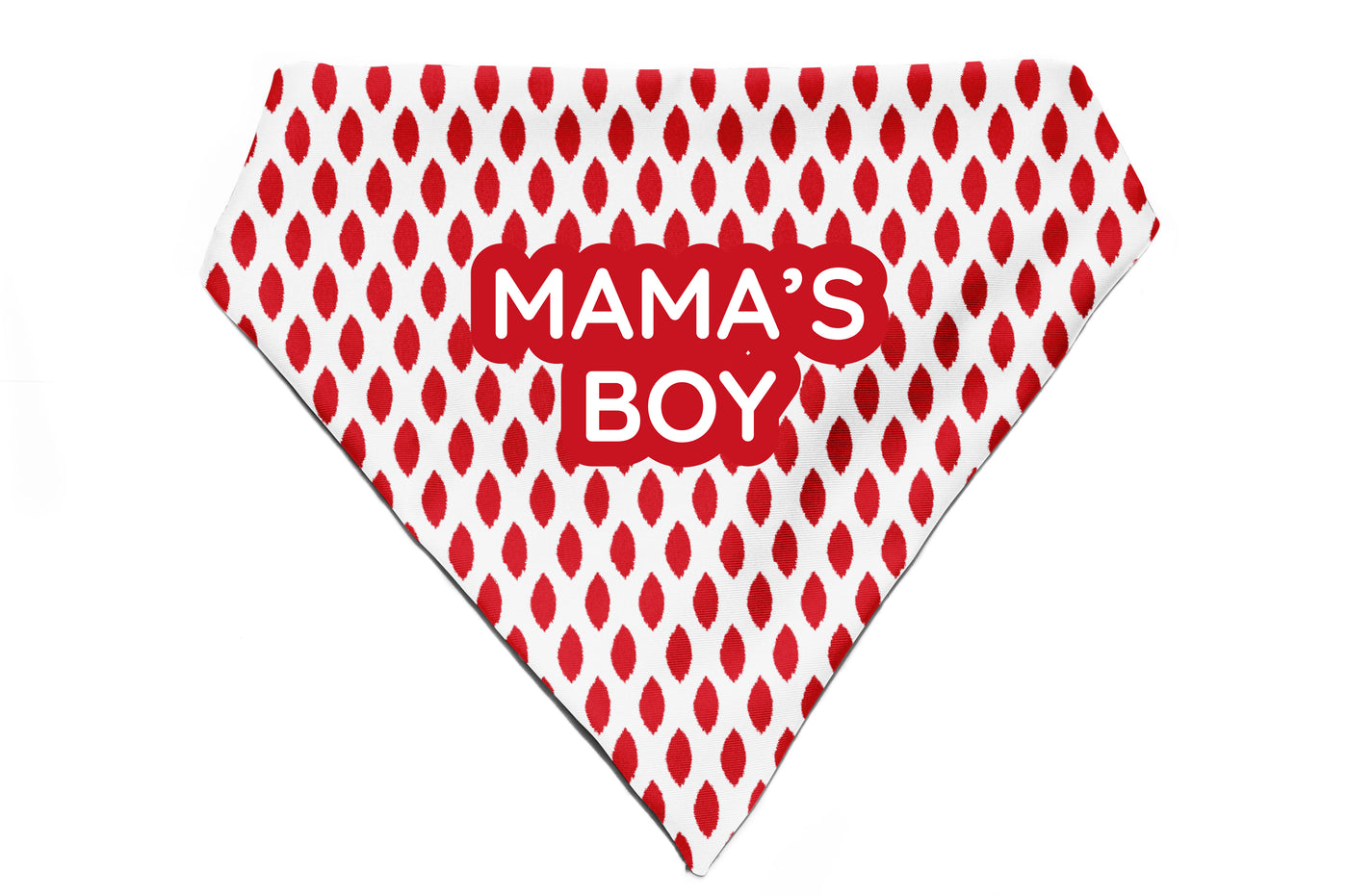 Paisley Pride - Bandana