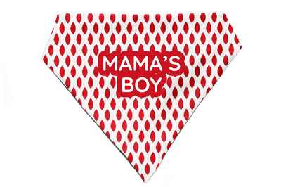 Paisley Pride - Bandana