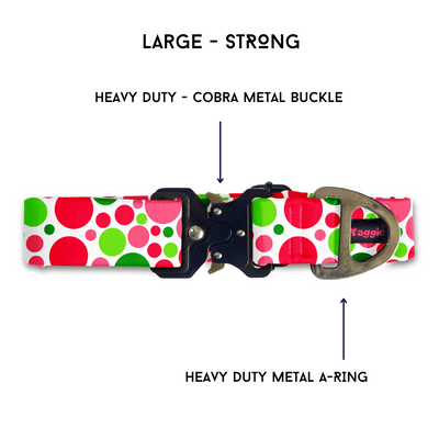 Pomeranian - Collar & Tag