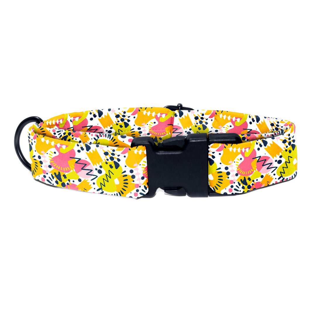 Berry Burst - Collar & Tag