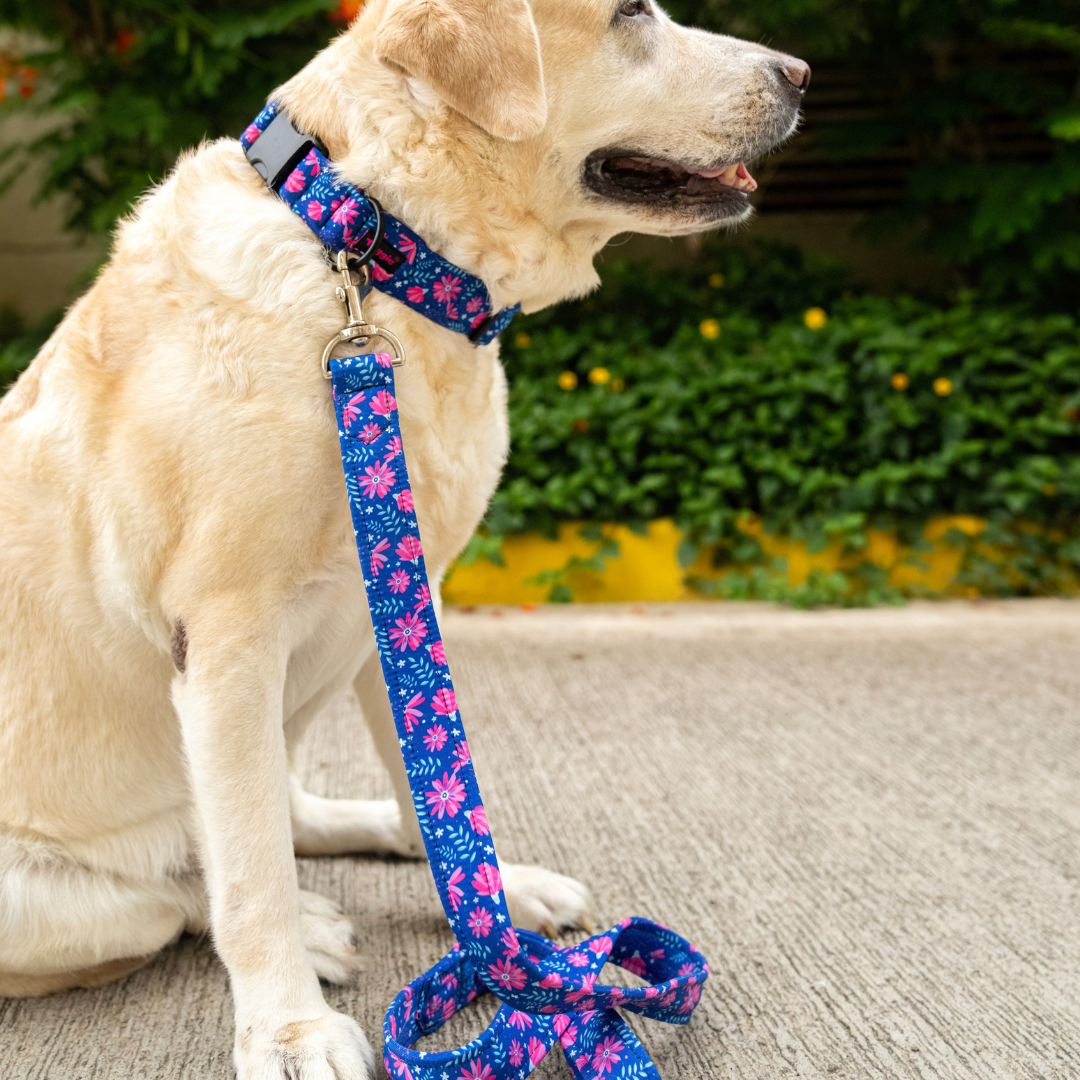 Checked Charm Leash