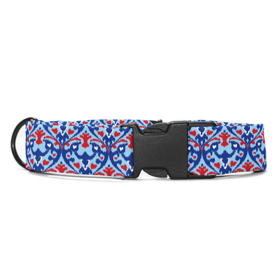 Peacock Posh - Collar & Tag