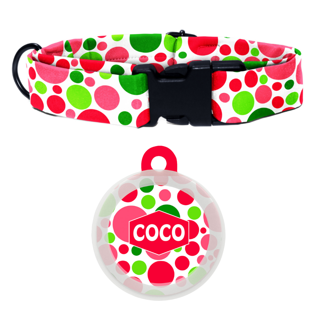 Bubble Bash - Collar & Tag