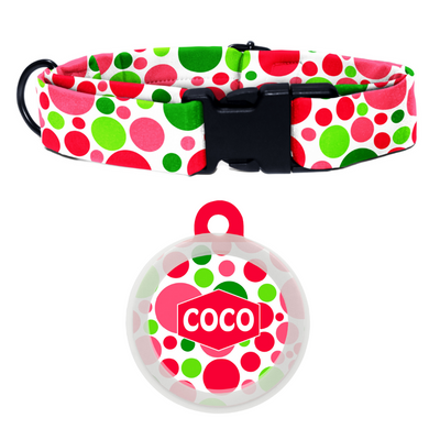 Bubble Bash - Collar & Tag