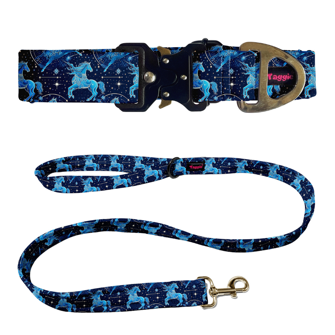 Sagittarius Collar -Leash