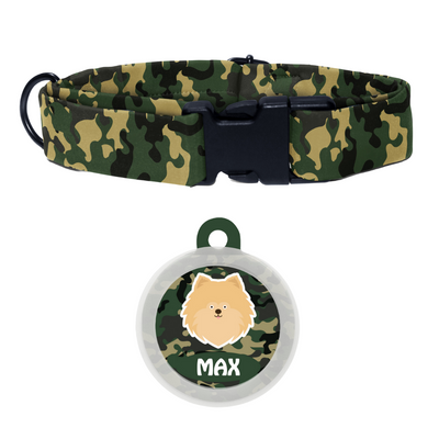Pomeranian - Collar & Tag