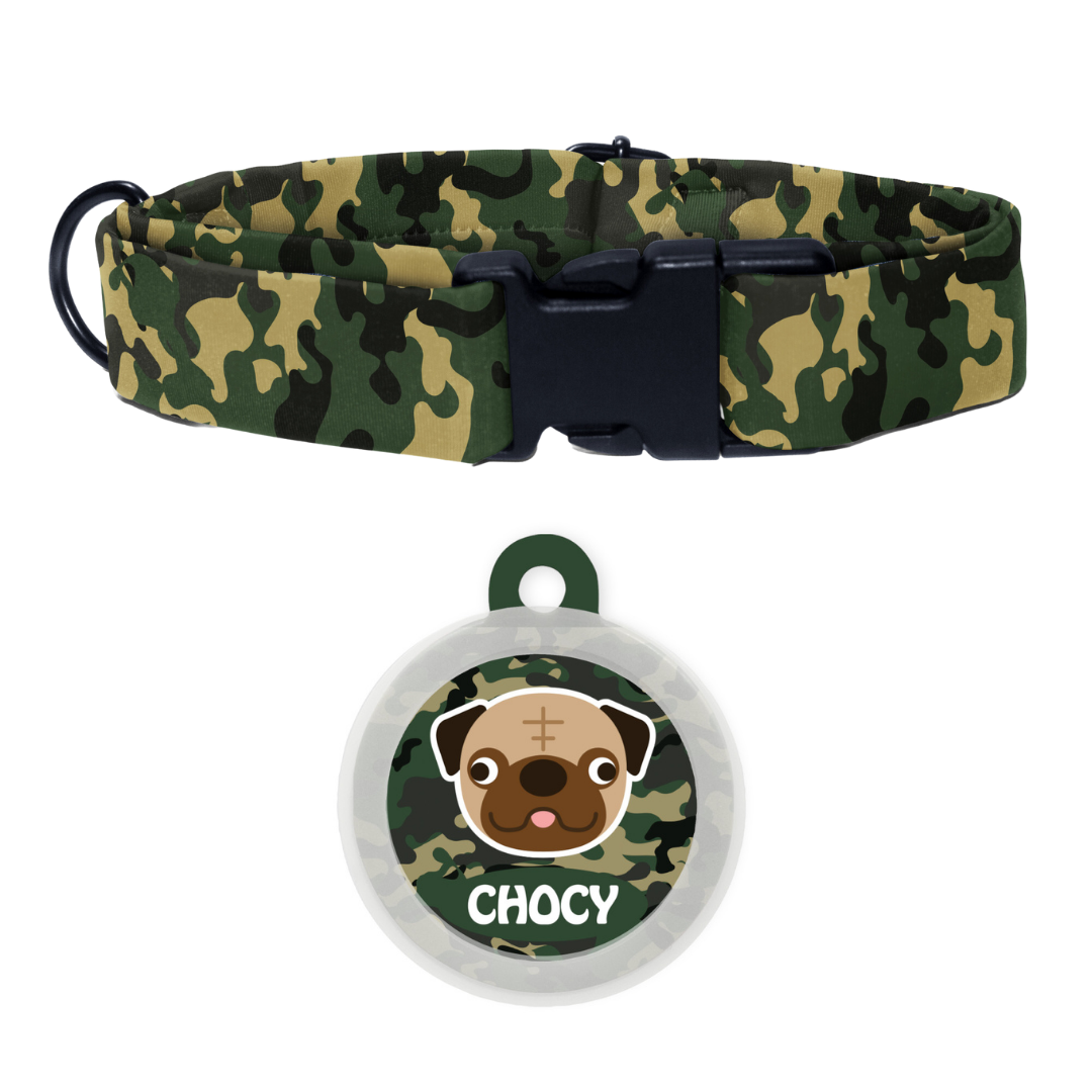 Pug - Collar & Tag