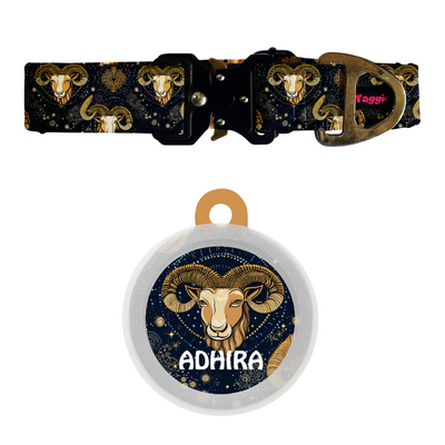 Aries - Collar & Tag