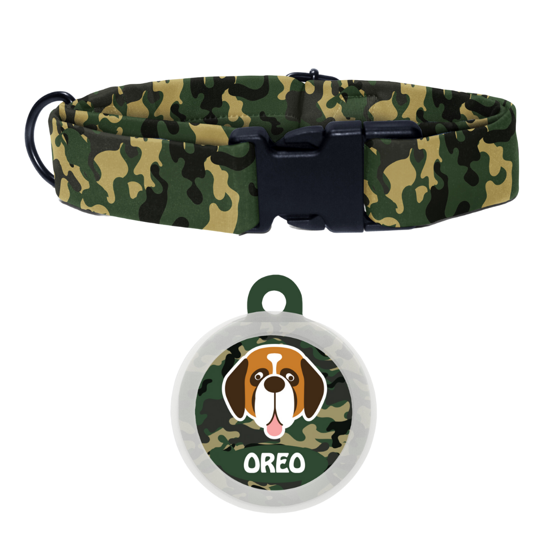 Saint Bernard - Collar & Tag