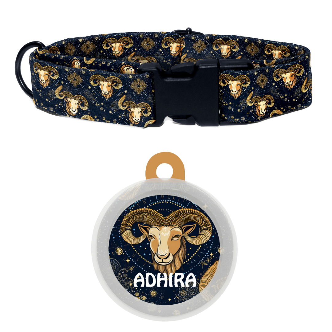 Aries - Collar & Tag