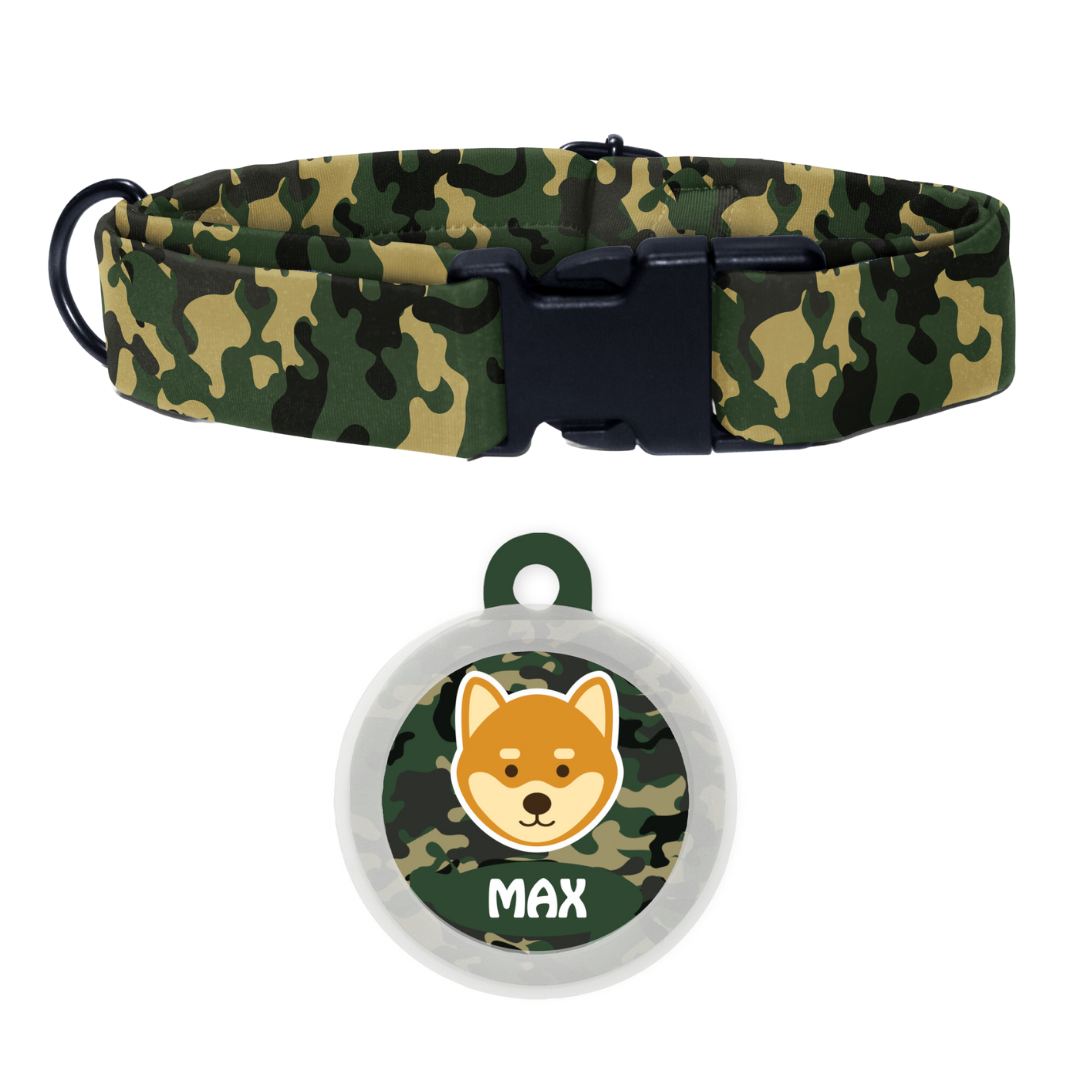 Shiba  - Collar & Tag