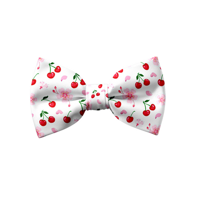 Cherry - Bow