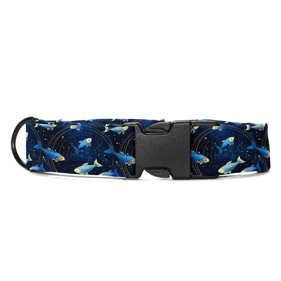 Pisces Collar -Leash