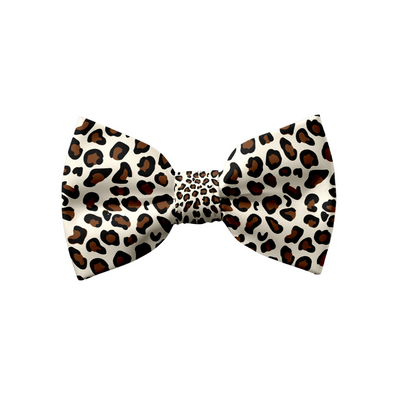 Wild & Witty - Bow