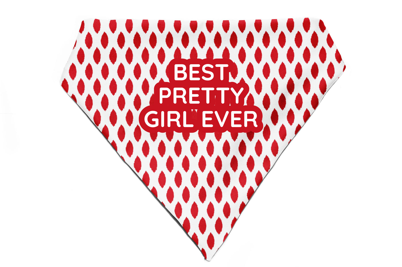 Paisley Pride - Bandana