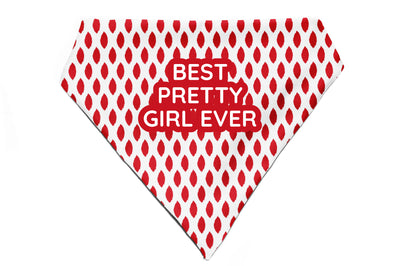 Paisley Pride - Bandana