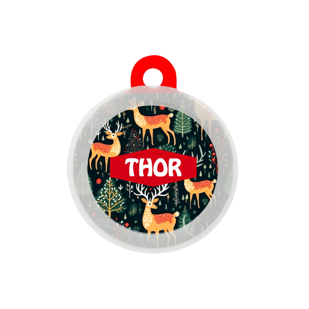 Reindeer Ready - Collar & Tag
