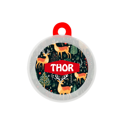 Reindeer Ready - Collar & Tag