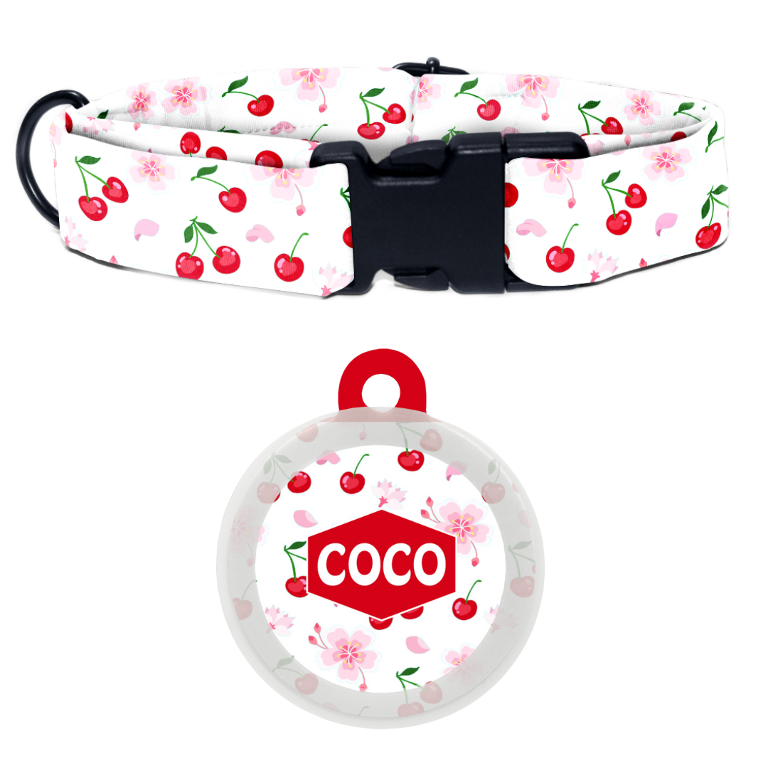 Cherry - Collar & Tag