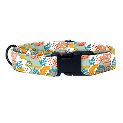 City Chic - Collar & Tag