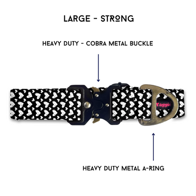 Pomeranian - Collar & Tag