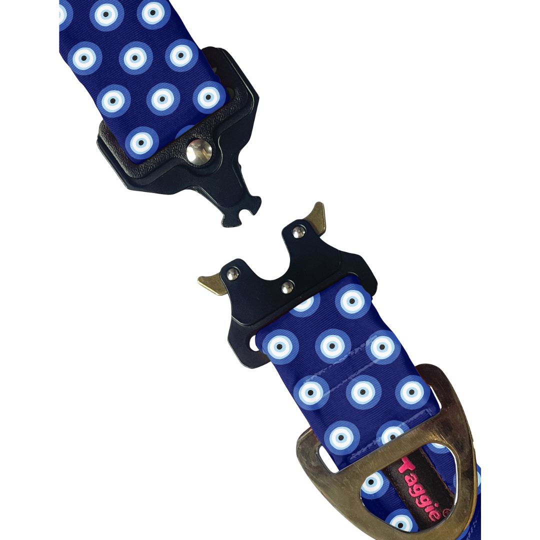 Evil Eye - Collar & Tag